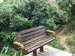 -四海公园(南山区)