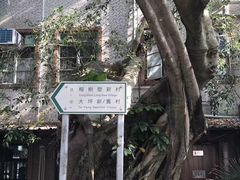 -南丫岛