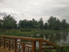 -东郊湿地公园