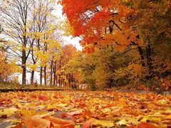 -必胜客(张掖西大街店)