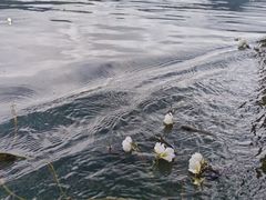-丽江泸沽湖景区