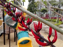 -荔湾区儿童公园