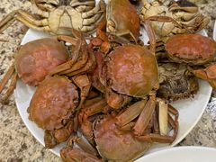 毛蟹-禾斗海鲜自助(市南银座店)