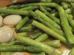 芦笋-建兴酒家(素里翁分店)