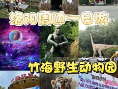 -栾川竹海野生动物园