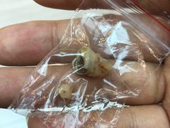 -新达口腔(华东理工大学店)