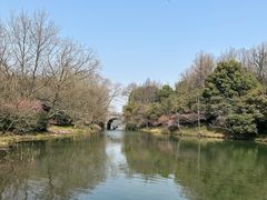 -杭州植物园
