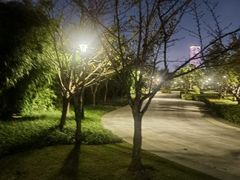 -上海山野camping·户外天幕烧烤·团建拓展营地