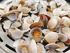 白贝-海大大蒸汽海鲜餐厅·粤菜·特色小炒(欢乐颂店)