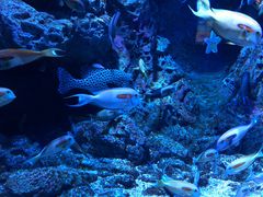 -成都浩海立方海洋公园