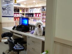 -宠颐生宠物医院·骨外科·犬猫全科诊疗中心(池州店)
