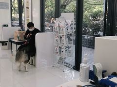 -顽皮家族宠物医院(浦东北园路分院)