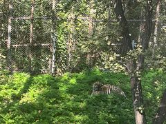 -哈尔滨北方森林动物园