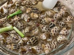 -阿英煲(凉城路店)