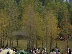 -牛岗山公园