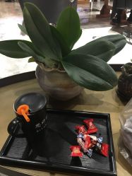 -思妍丽美发沙龙