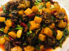 饵块鸡-红豆园(文林街店)