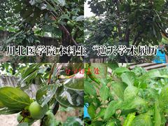-山西医科大学(迎泽校区)