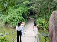 -桤木河湿地公园