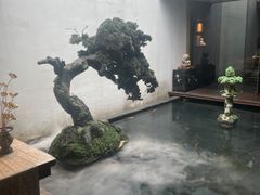 -觀芷隐轩