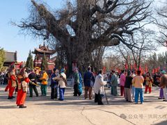 -大槐树寻根祭祖园