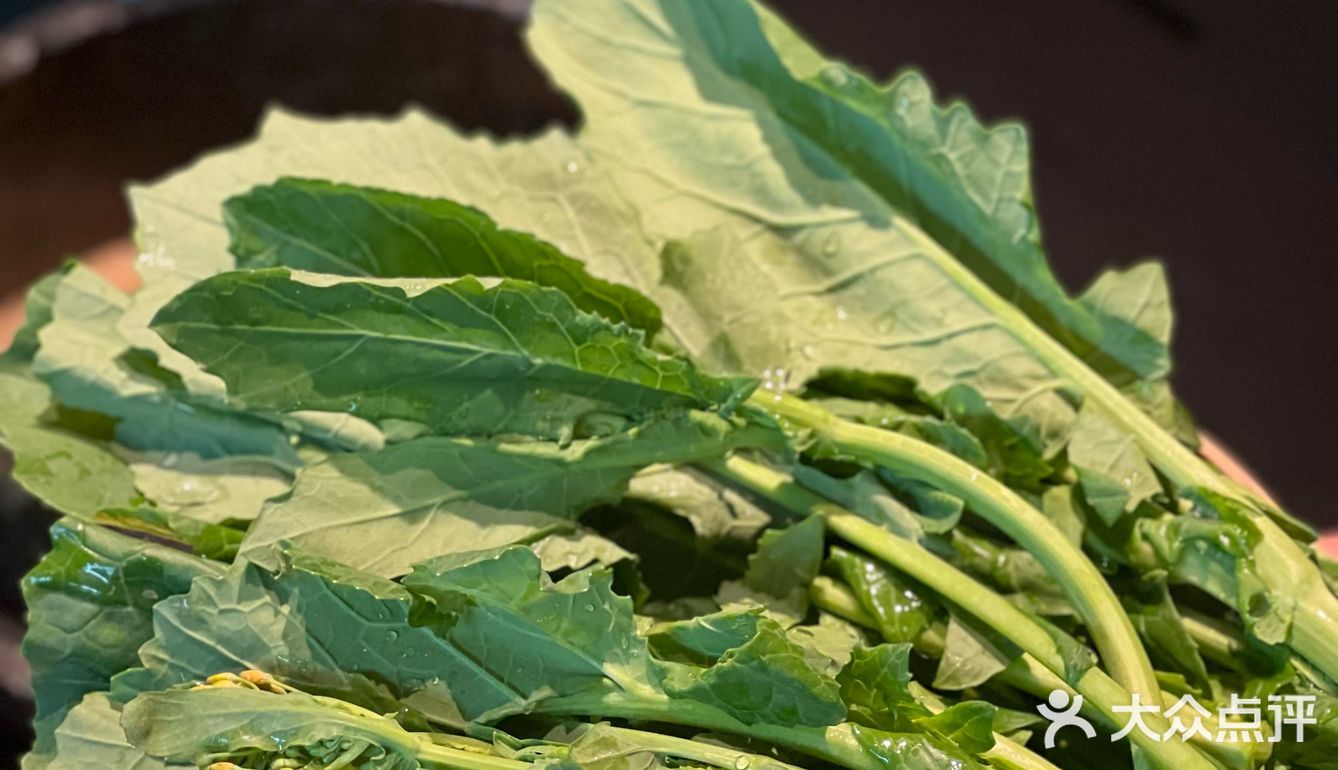 热气腾腾的一锅野生菌土鸡汤，新年与菌相见！