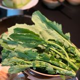 热气腾腾的一锅野生菌土鸡汤，新年与菌相见！