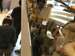 -飞行喵MR PILOT|猫舍·猫咖(静安大融城店)