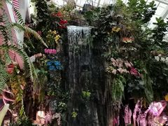-正佳雨林生态植物园