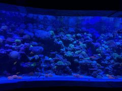 -太平洋海底世界