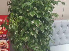 -湖南崖炒鸡(河东店)