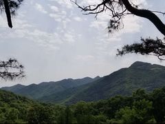 -波尔登森林公园