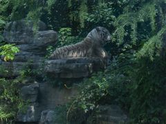 -上海野生动物园