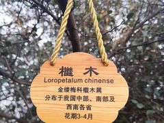 -北高峰