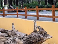 -北京野生动物园