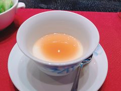日本焦糖布丁-诺莱仕游艇会