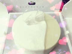 -BLACKSWAN黑天鹅(环球店)