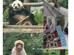 -黔灵山公园