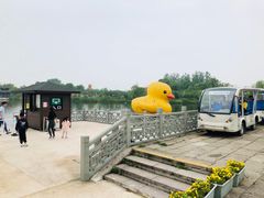 -杭州湾海上花田景区