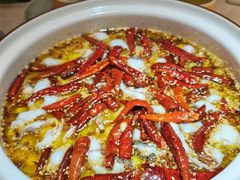 酸菜味砂锅鱼-青花椒花椒鱼黑金店(LCM店)