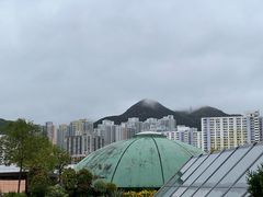 -新城市广场