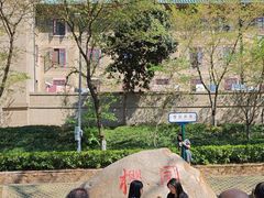 -武汉大学-樱园