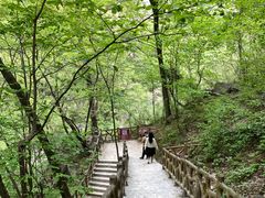 -洛阳白云山景区