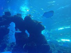 -成都浩海立方海洋公园