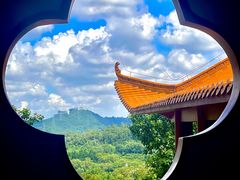 -深圳仙湖植物园