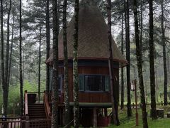 -洛阳白云山景区