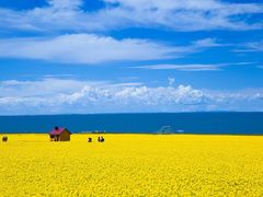 -青海湖国家重点风景名胜区