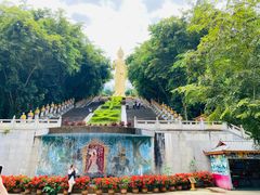 -西双版纳勐泐文化旅游区