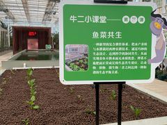 -黄龙溪欢乐田园