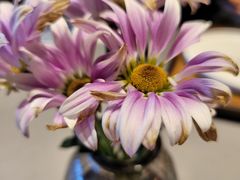 -四川饭店(长白店)